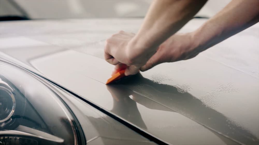 Car Detailing Chattanooga Services by Big Dog Detail – Mobile Experts