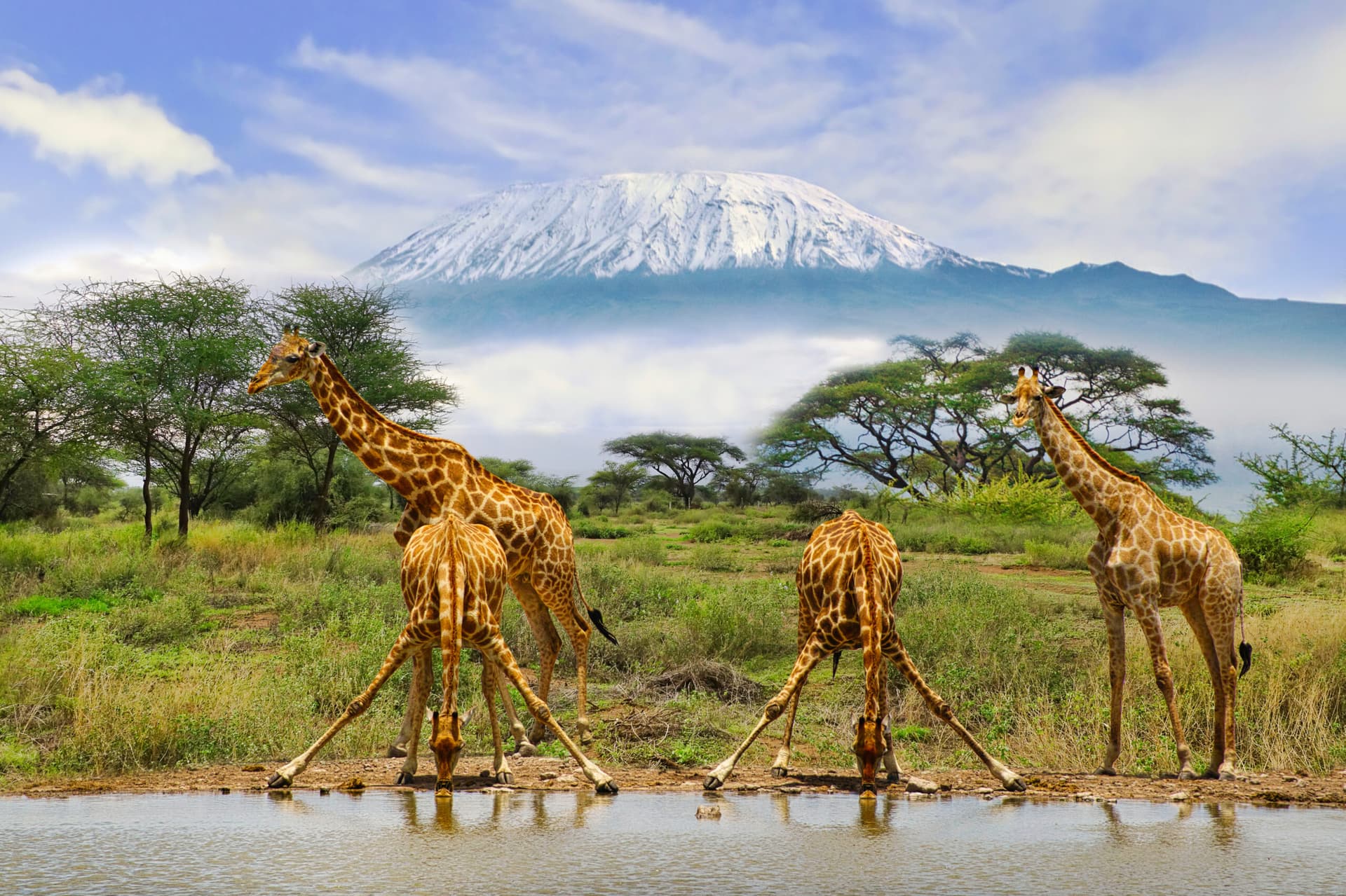The Ultimate Kenya Tanzania Safari: Explore Africa’s Wildlife Wonders