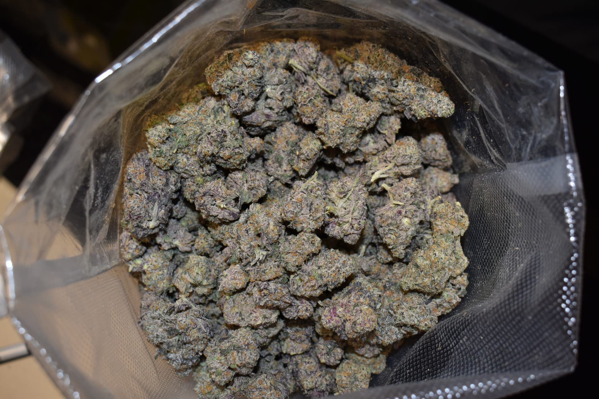 Bud Cargo: Canada’s Premier Online Dispensary to Buy the pure michigan strain Safely Online