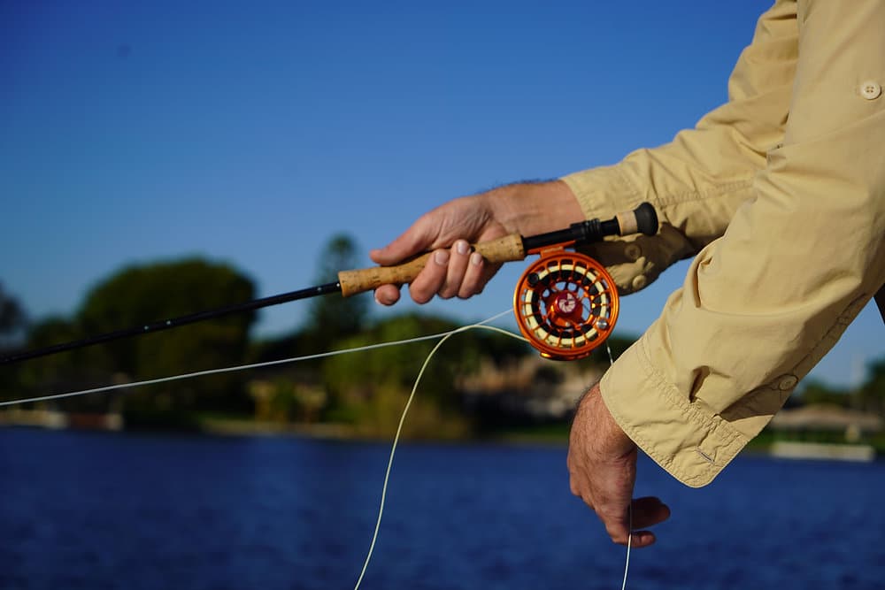 Best Fly Fishing Line for Beginners: How to Choose the Right One