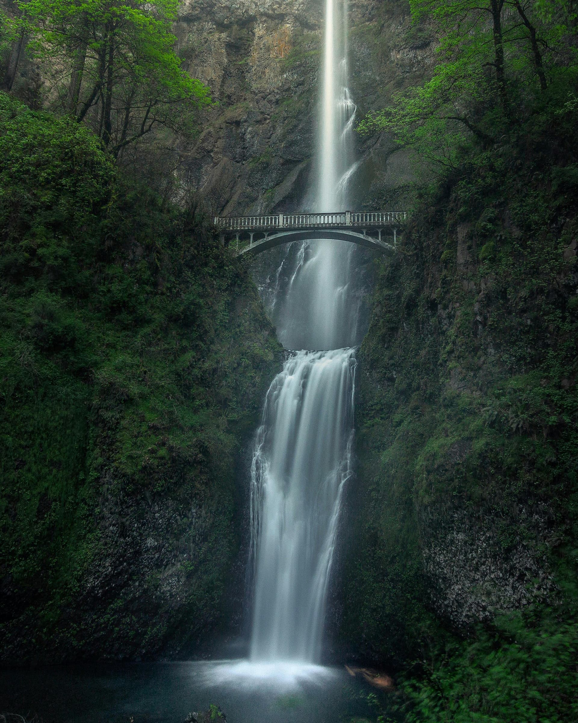 How to Easily Visit Multnomah Falls with Waterfall Shuttle