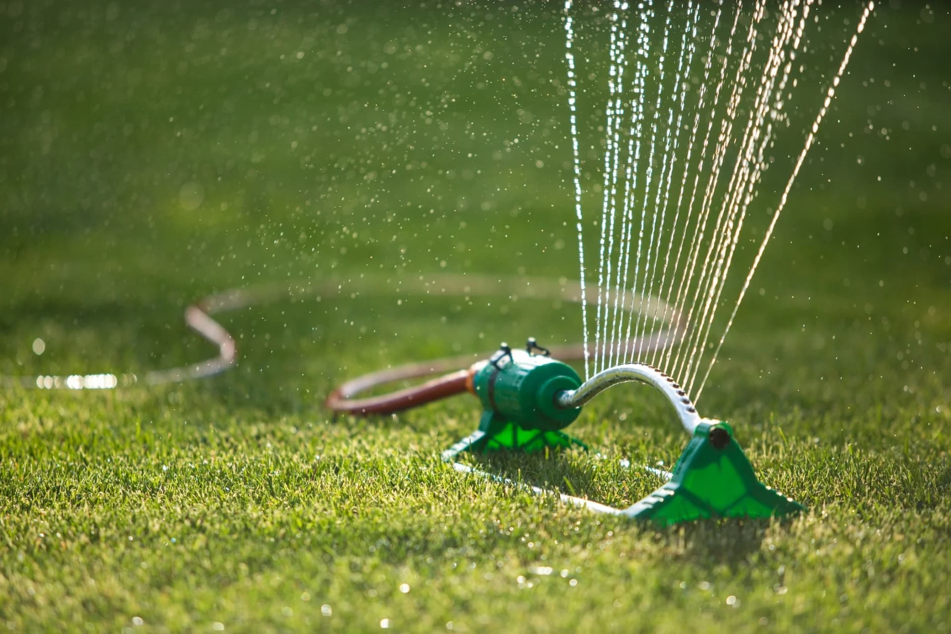 The Sprinkler Company Inc | Professional Sprinkler System Installation