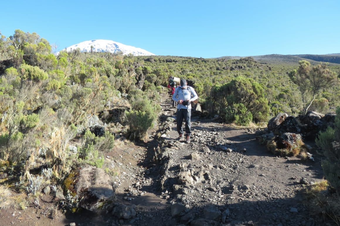 Climb Kilimanjaro with Local Experts Based in Moshi