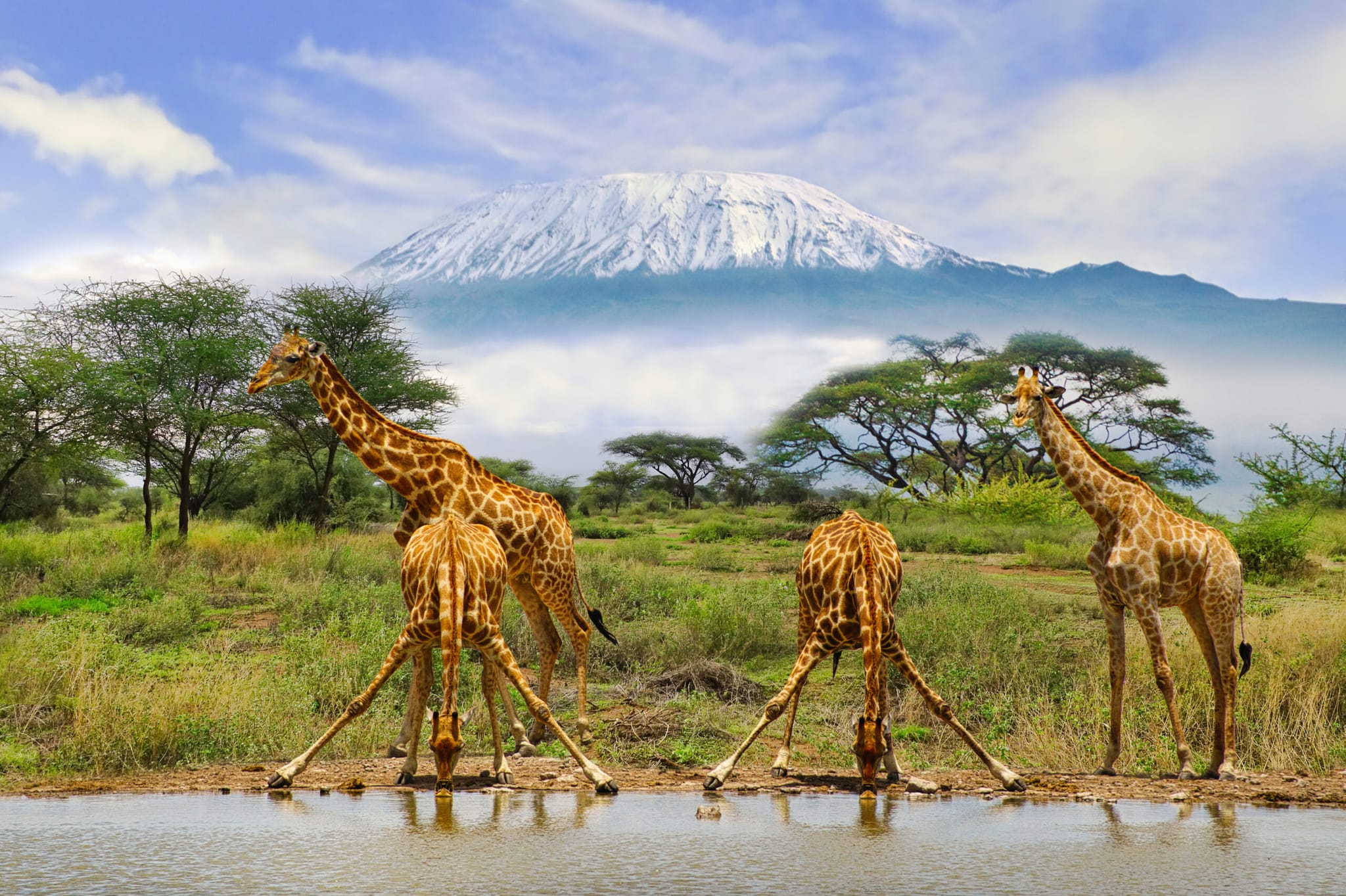The Ultimate Kenya Tanzania Safari: Explore Africa’s Wildlife Wonders