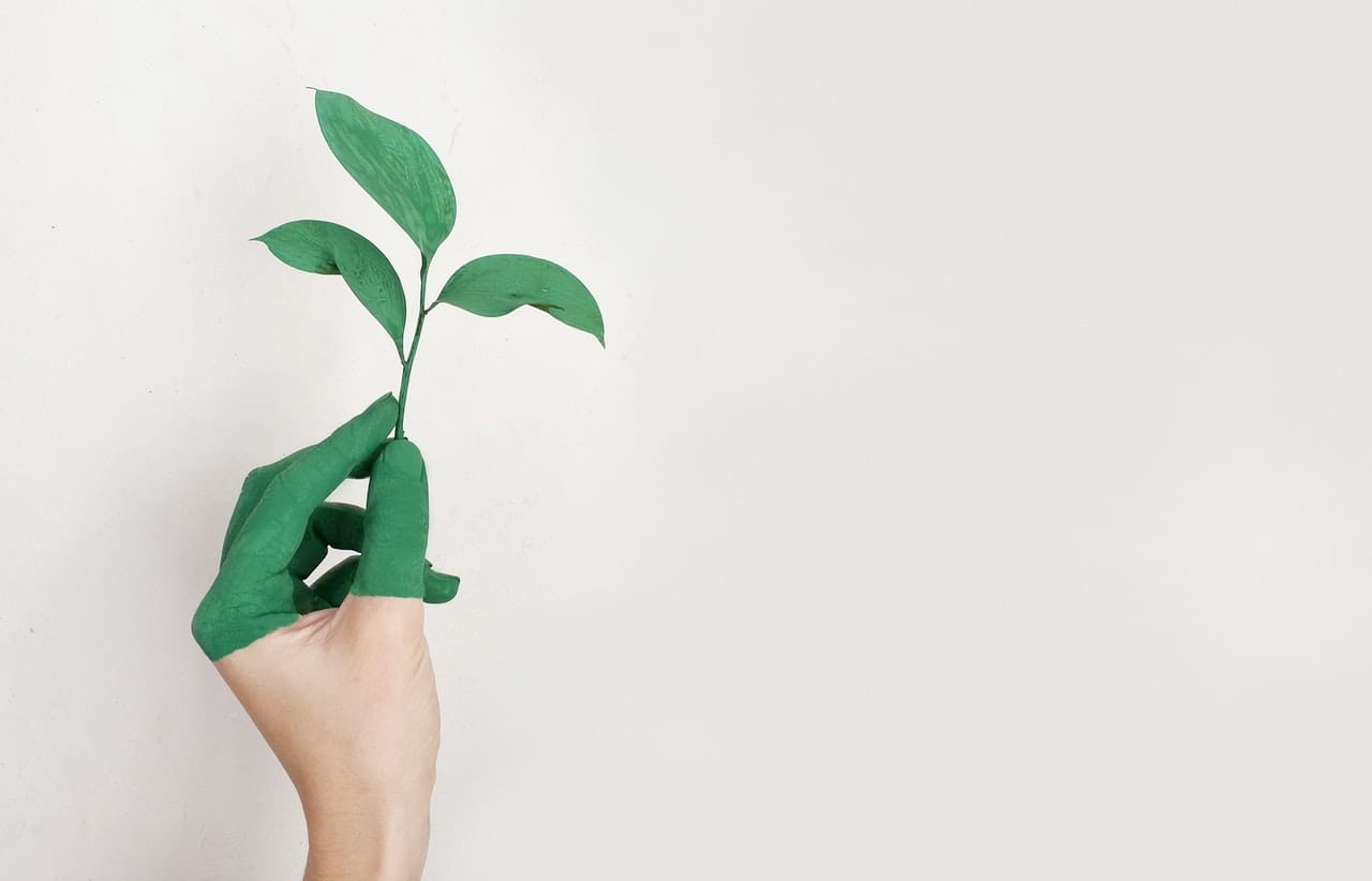 Impresión ecológica para retail: soluciones sostenibles a medida