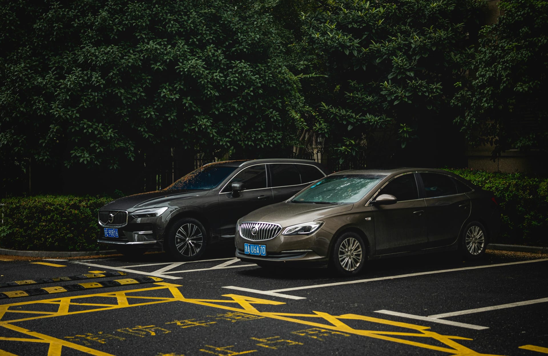 Vancouver to Whistler Private Transfer with Personalized Service