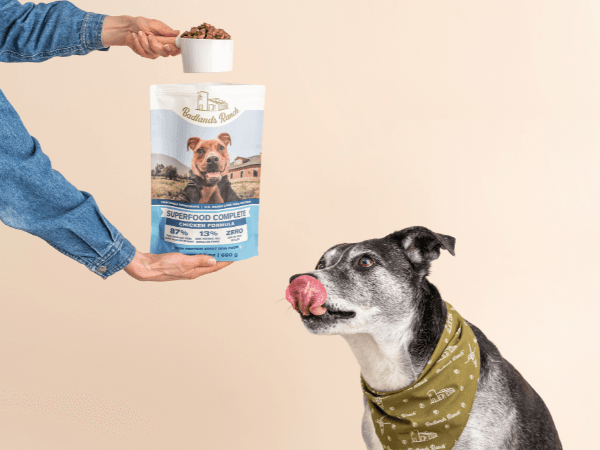 Dr Martys Dog Food: Premium Nutrition for Active Dogs