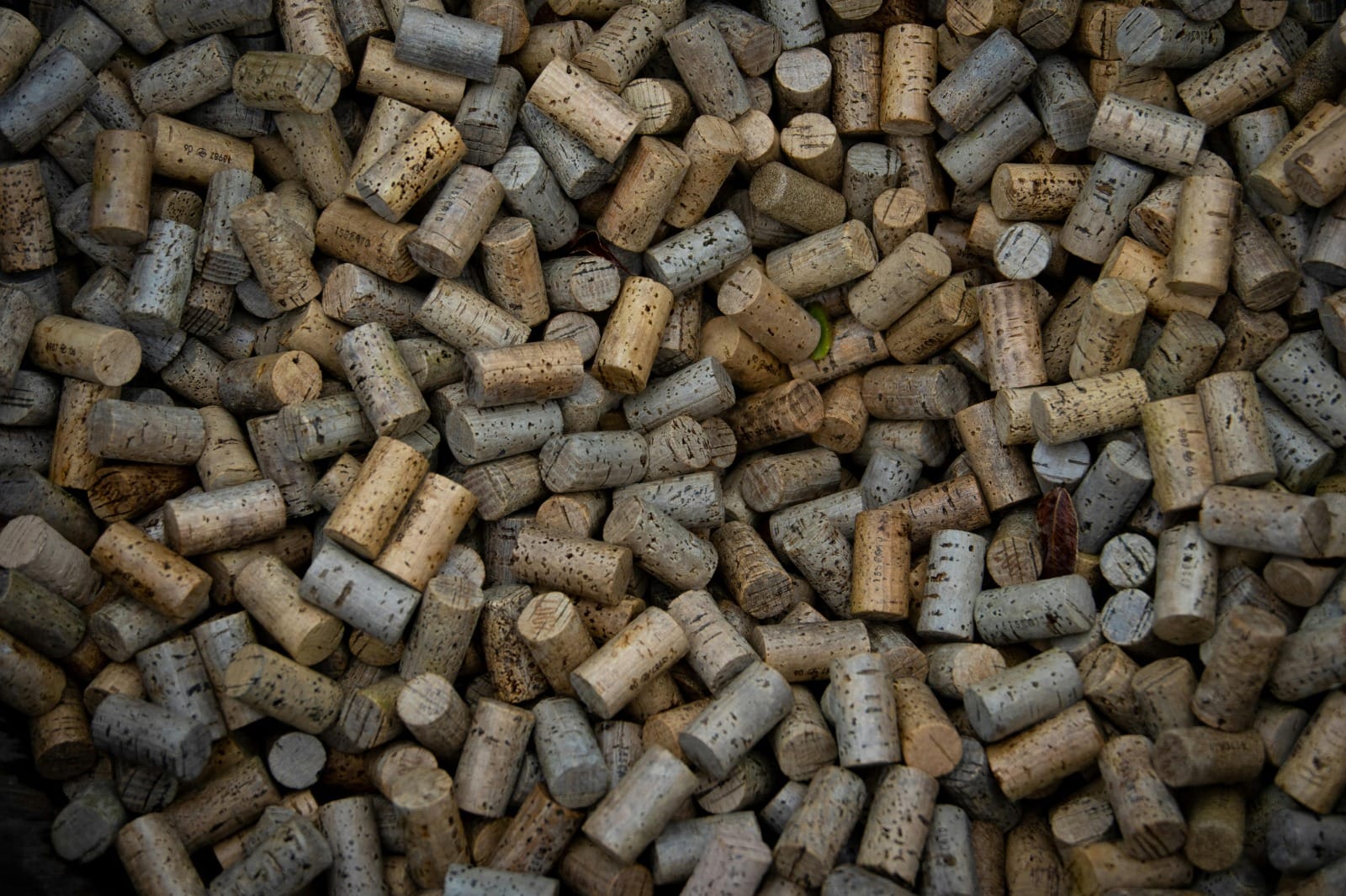 Wood Pellets Supplier Netherlands: Reliable and Eco-Friendly Heating Solutions