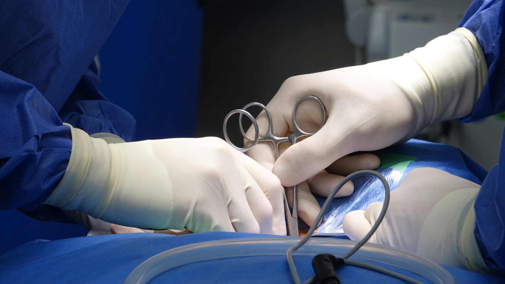 Kirkegaard Aesthetics – Ihre Experten für natürliche Schönheit