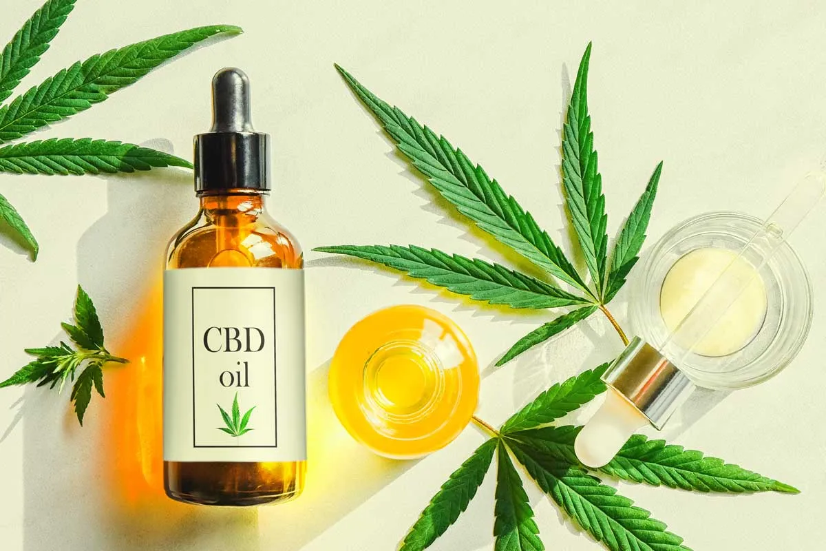 Best Rave Store Miami: Premium CBD &amp; THC Edibles