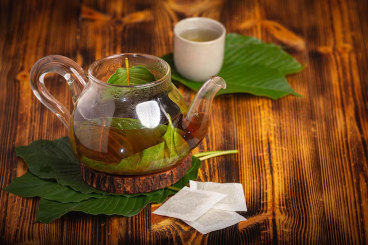Buy Kratom Tea in Chiang Mai – Discover the Best Brews at Popup CNX