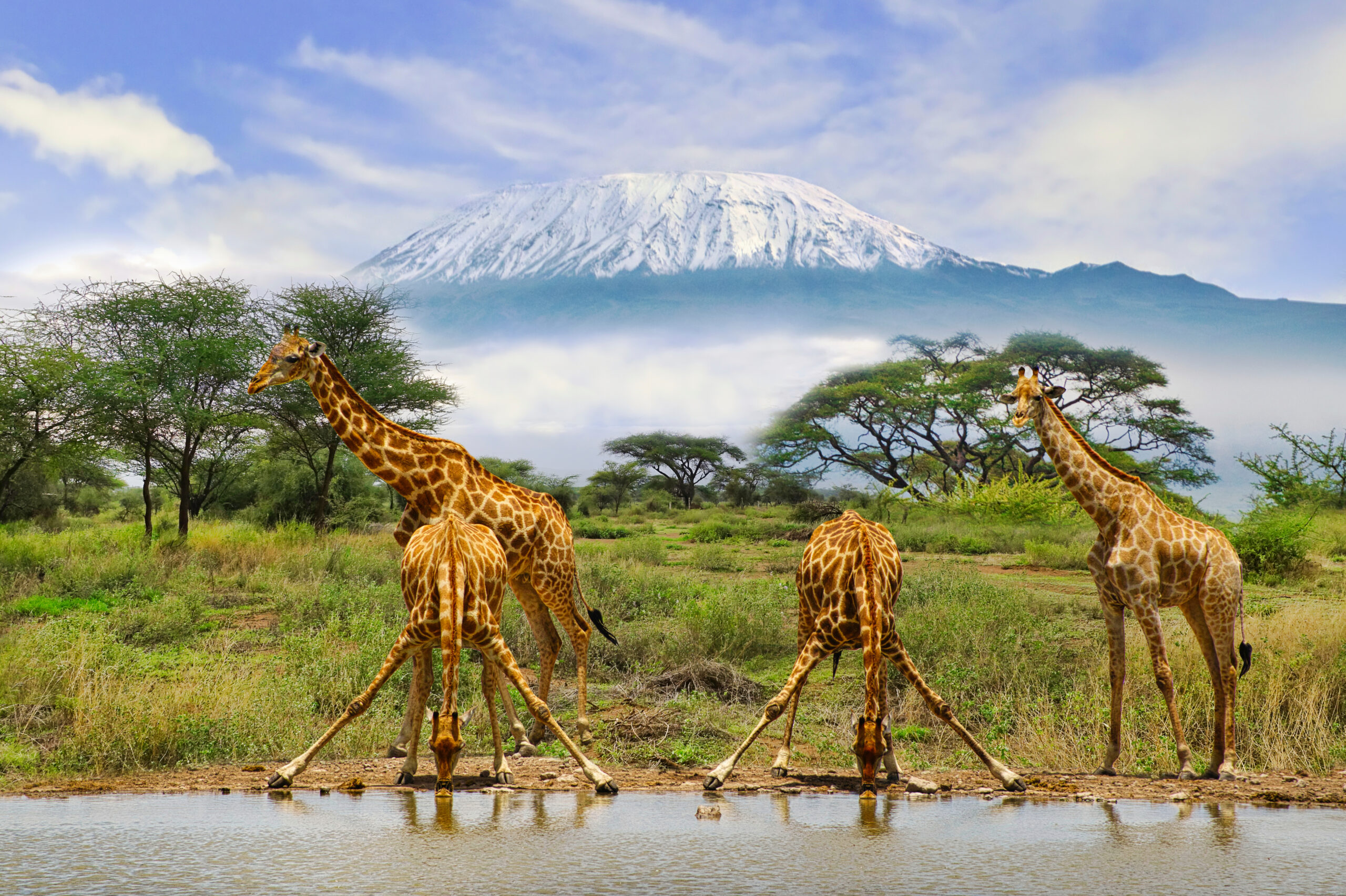 The Ultimate Kenya Tanzania Safari: Explore Africa’s Wildlife Wonders