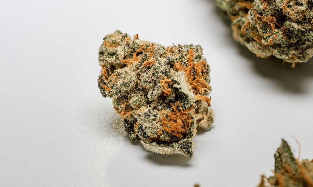 CBD flowers wholesale: calidad profesional y catálogo B2B con trazabilidad en La Cosechera