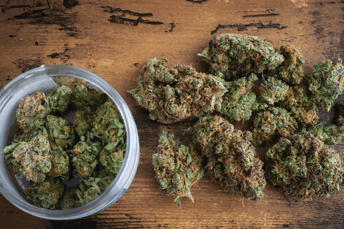 CBD flowers wholesale: calidad profesional y catálogo B2B con trazabilidad en La Cosechera