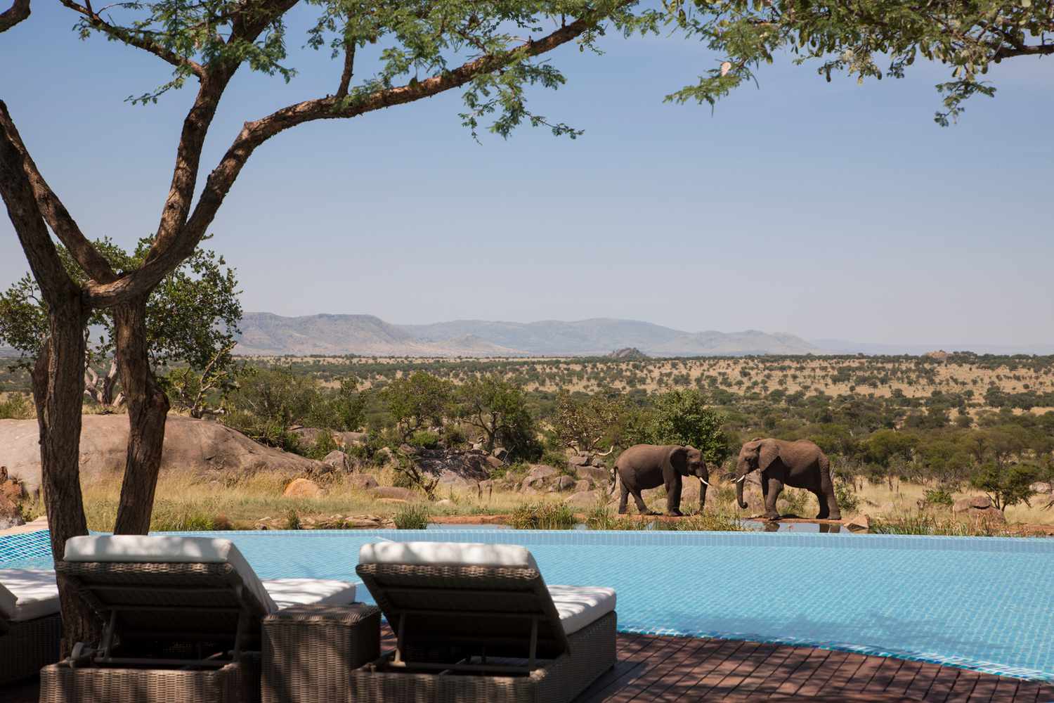 Luxury African Safaris | Exclusive Wildlife Journeys with Extraordinary Safaris