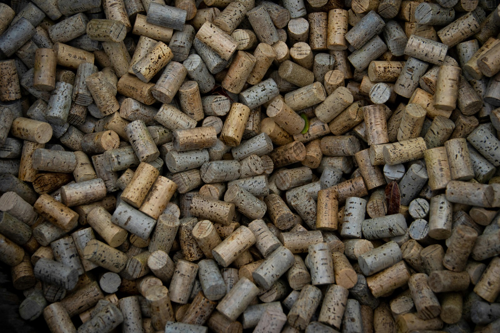 Wood Pellets Supplier Netherlands: Reliable and Eco-Friendly Heating Solutions