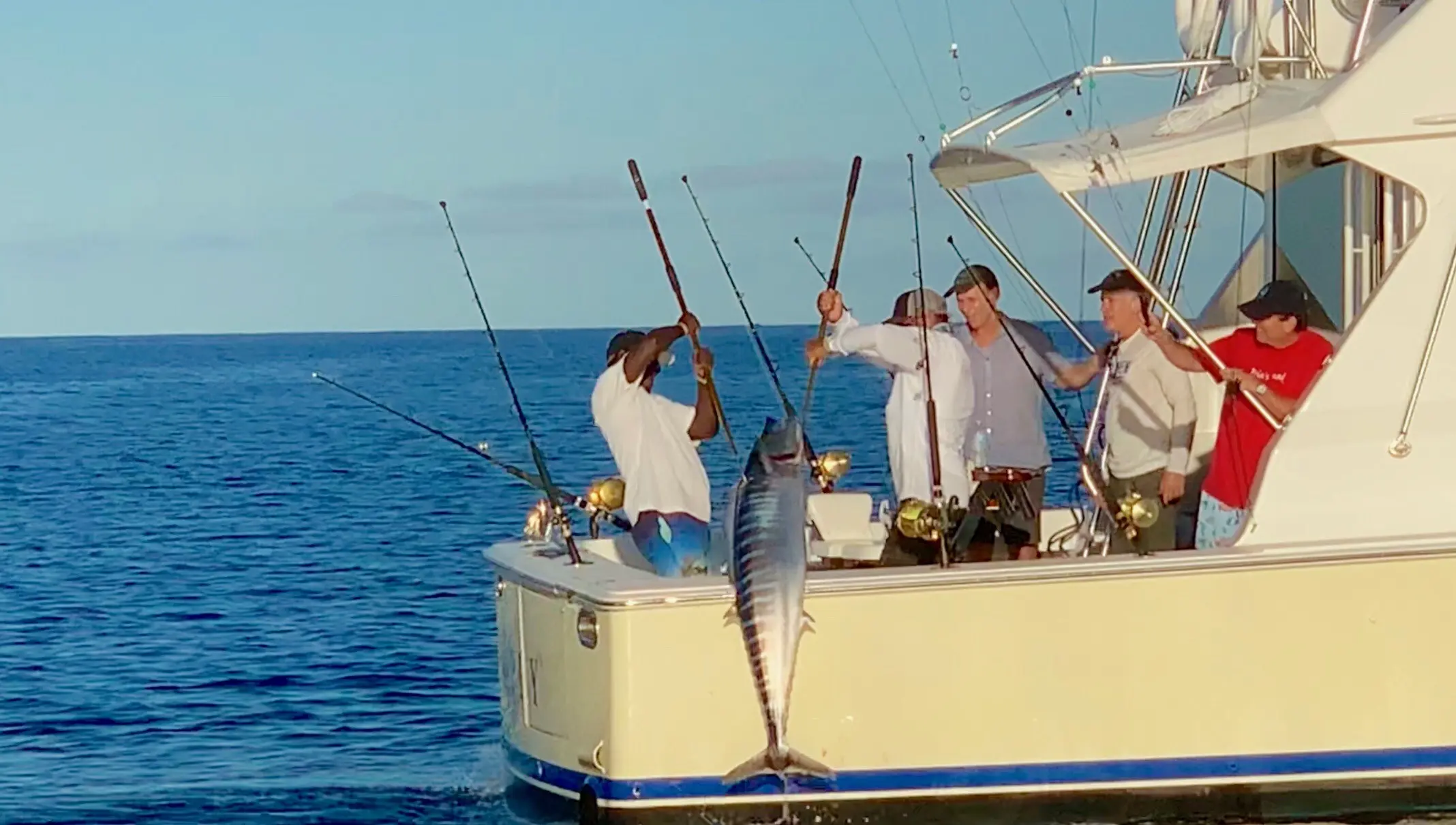 Cabo Fishing Charters for Unforgettable Ocean Trips