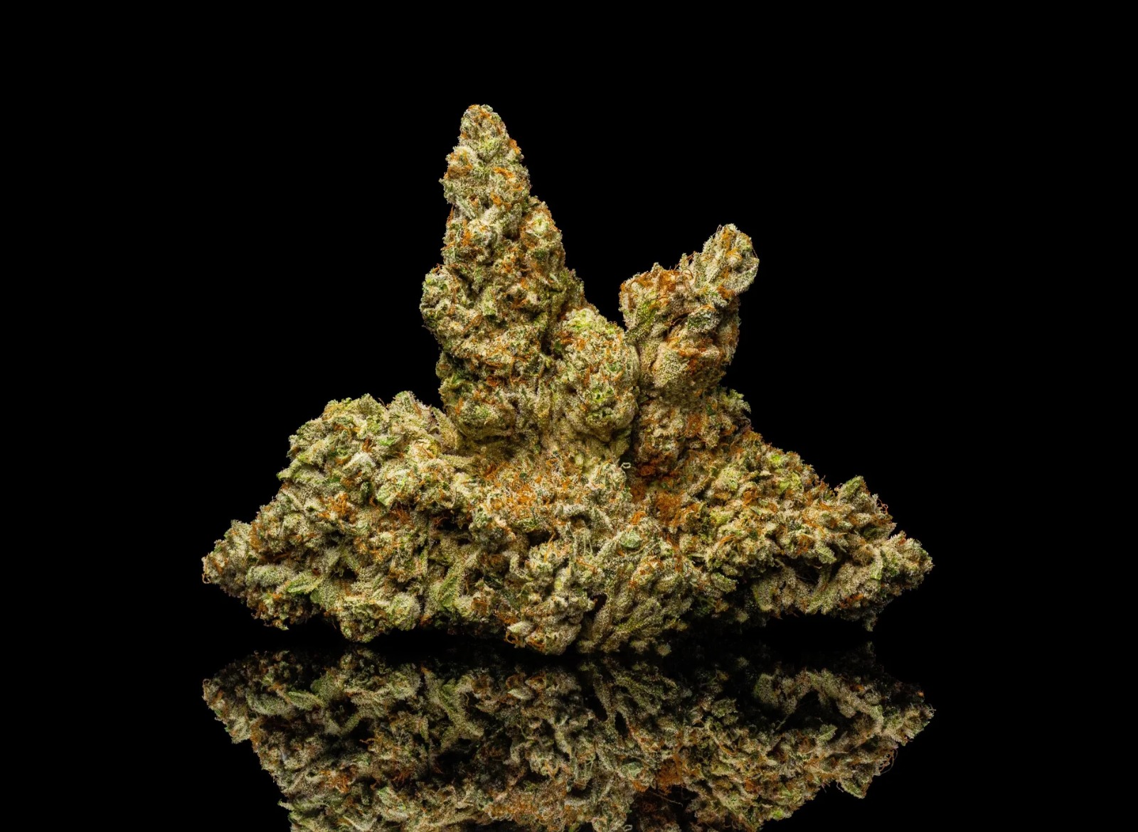 Cheap Canna – Bud Cargo Delivers Affordable Cannabis Without Compromise