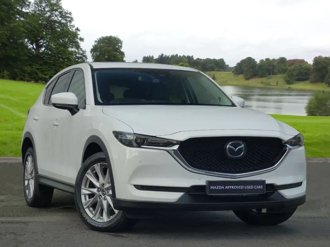 Used Cars for Sale Near Me – Find Great Local Deals on Liztd