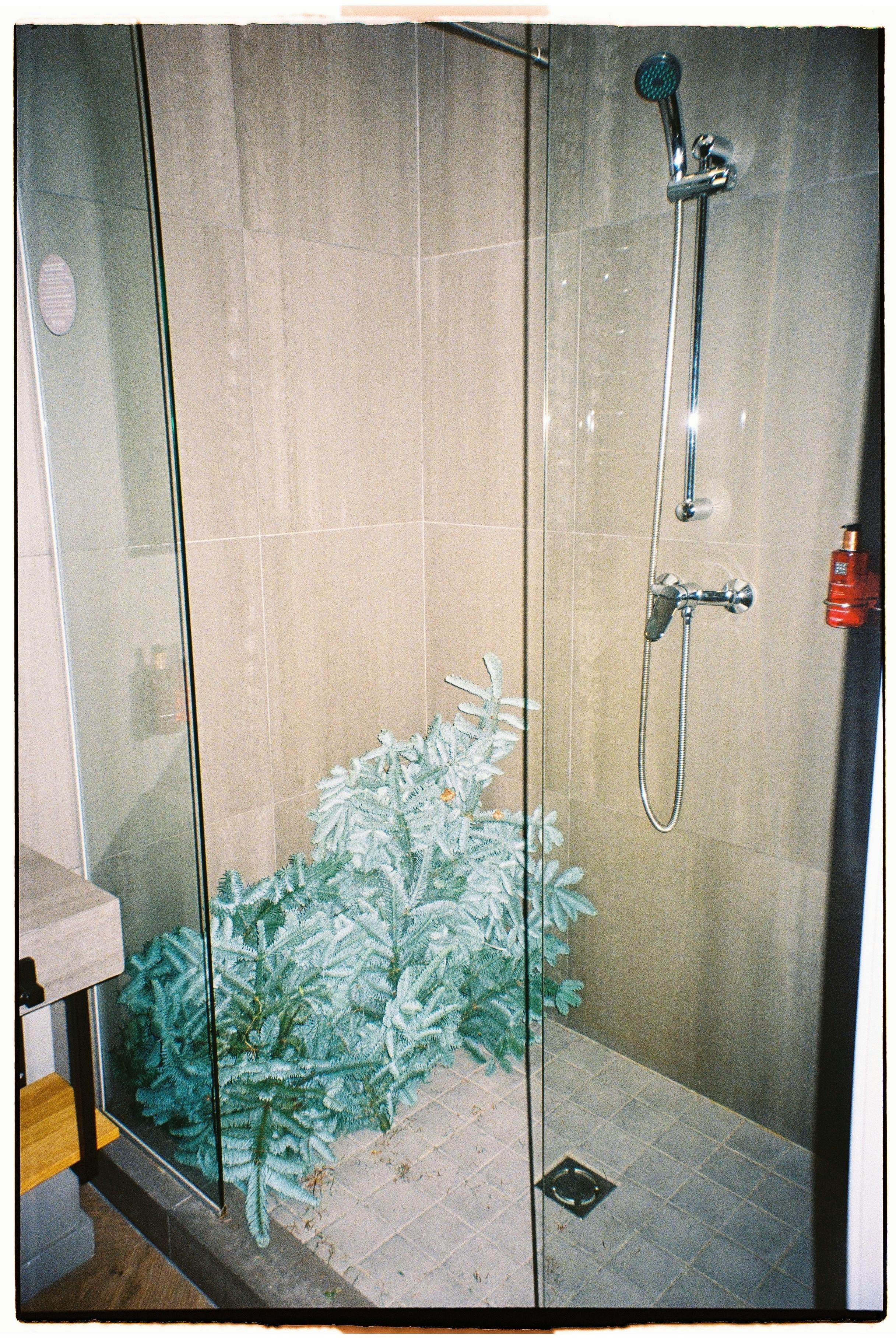 Elegant Showers Premium Bathroom Solutions for Modern Homes