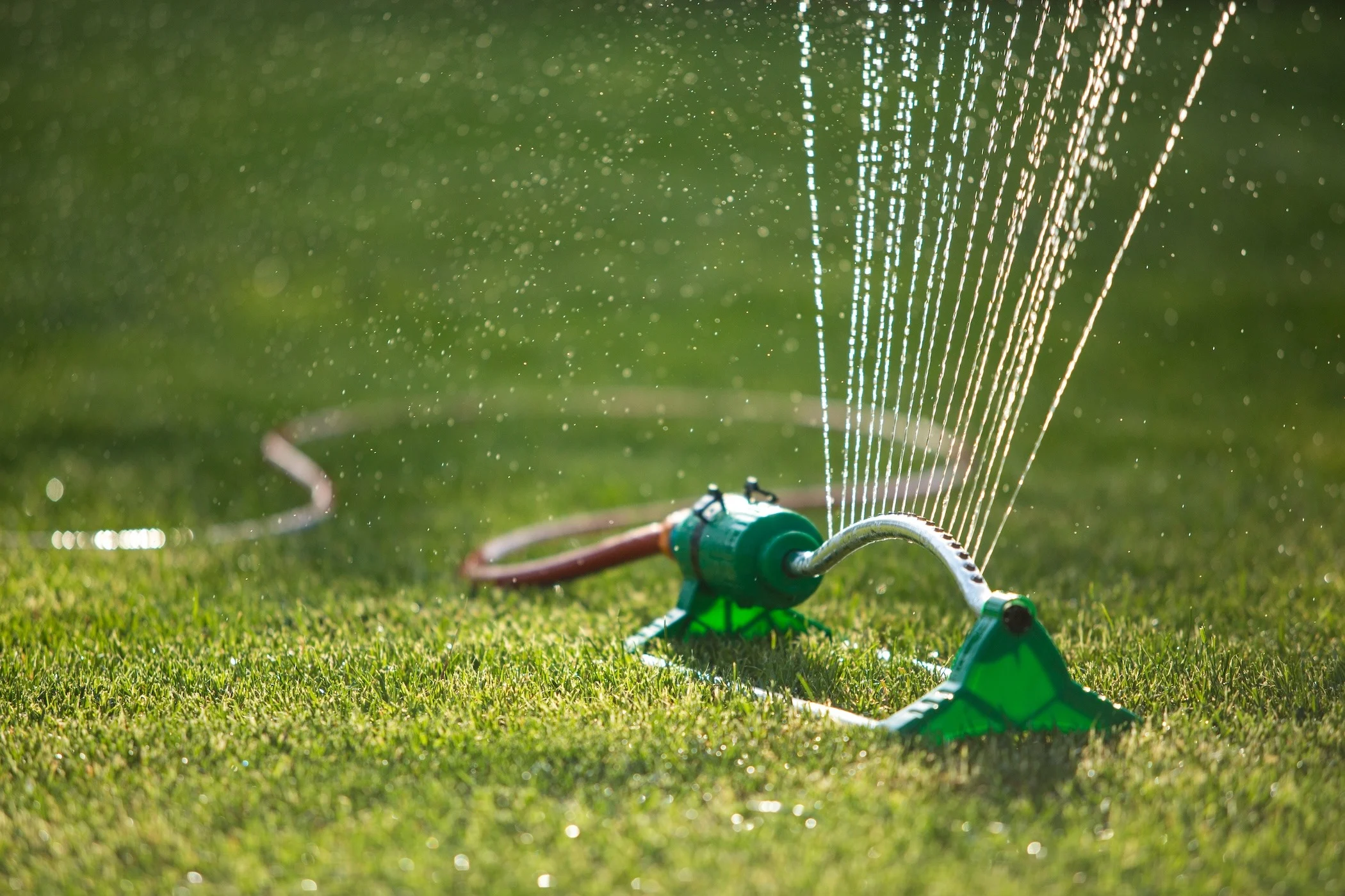 The Sprinkler Company Inc | Professional Sprinkler System Installation