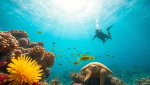 Experience snorkeling at https://egypt-snorkeling.com with vibrant coral reefs and exotic marine life.
