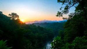 Dandeli jungle landscape with a peaceful river, showcasing vibrant greenery and morning mist.
