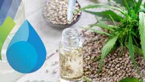 01-cbd-and-thc-beverage-high-demand-v01