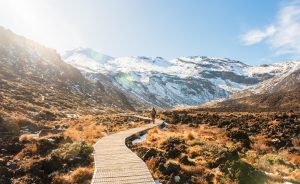 best-hikes-in-new-zealand-north-island-Tongariro-Alpine-Crossing-2--1-