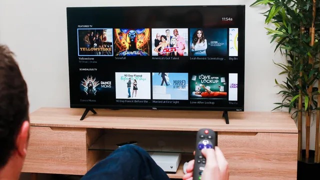 WhatsApp Image 2026-01-19 at 12.03.24 PM (1)